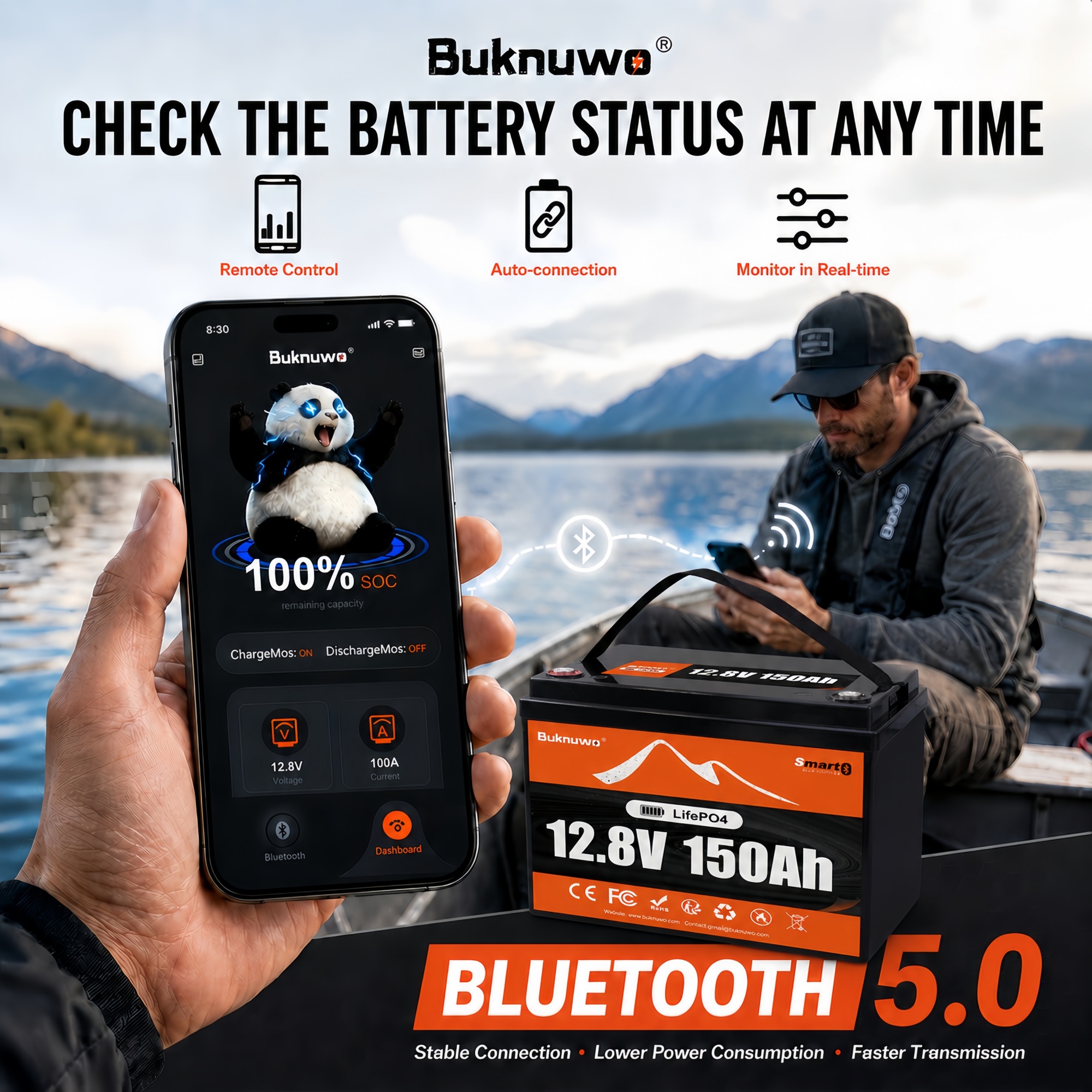 Smart 12V/12.8V 150Ah Bluetoot - огляд і ціна Smart Home Energy
