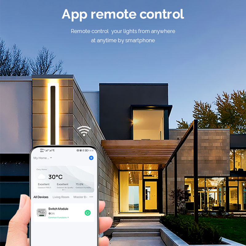DIY  Wifi Smart Dimmer Switch  - огляд і ціна Smart Home Integration
