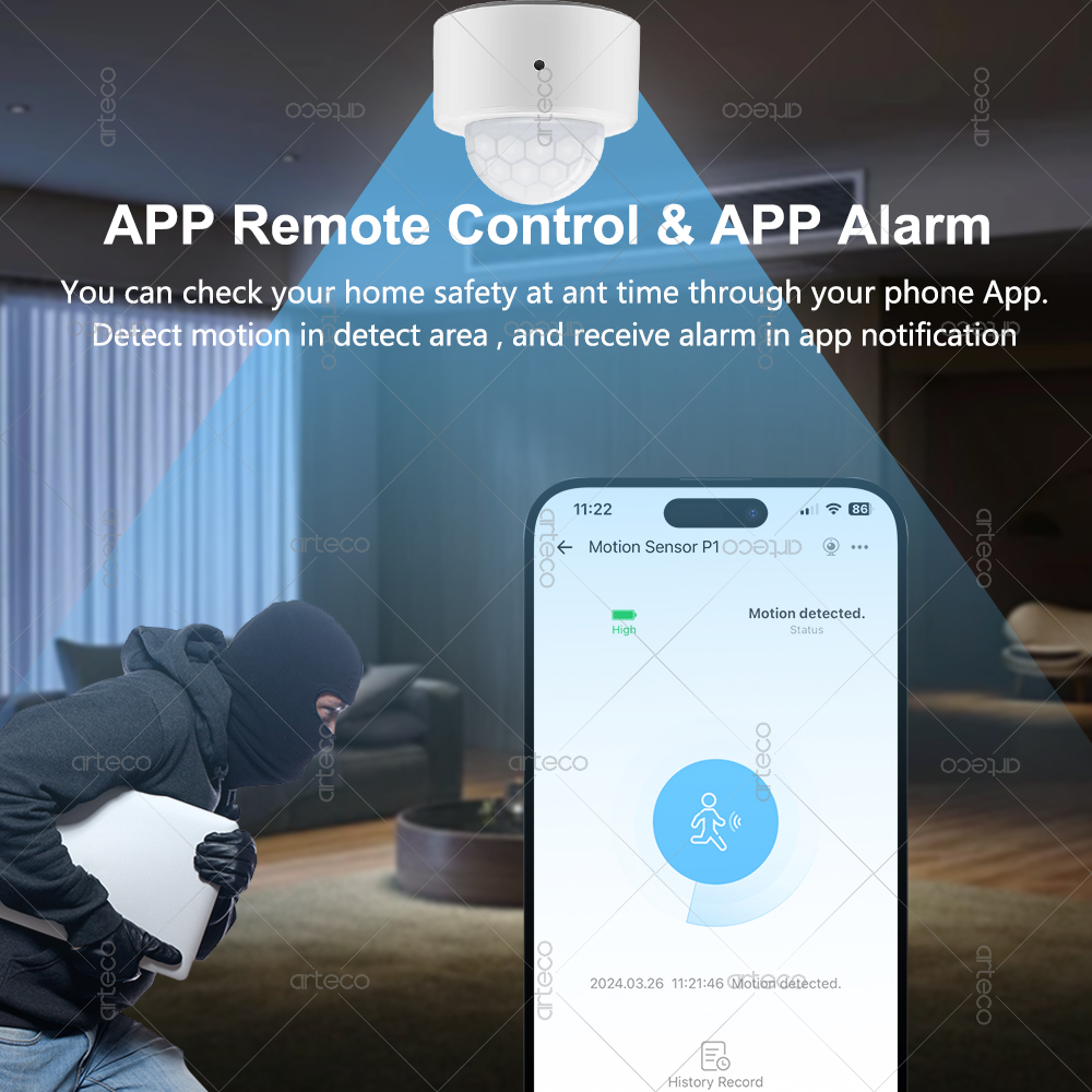 Ewelink Zigbee PIR Motion Sens - огляд і ціна Smart Home Security