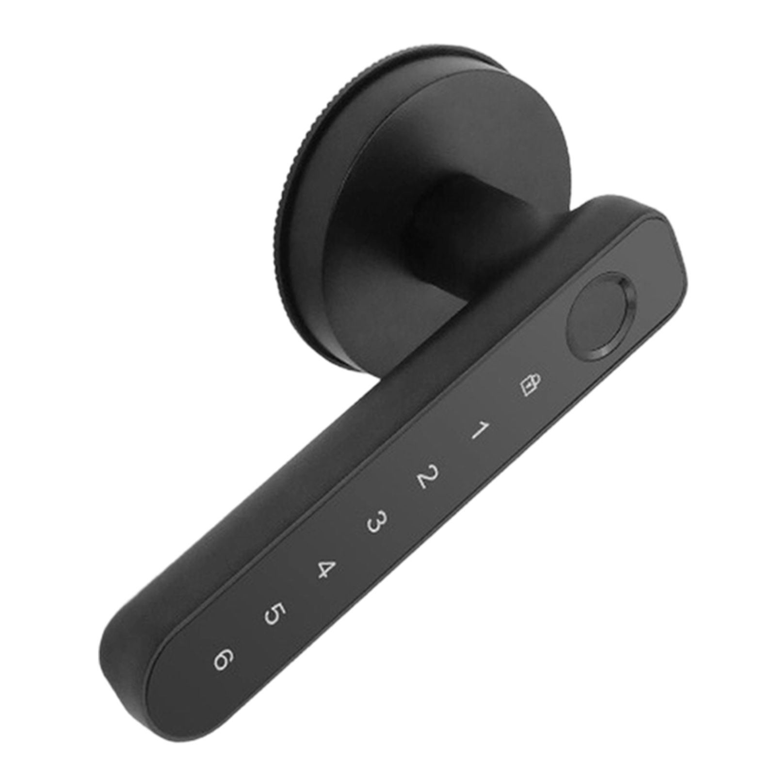 Smart Handle Lock with Fingerp - огляд і ціна Smart Home Door Lock