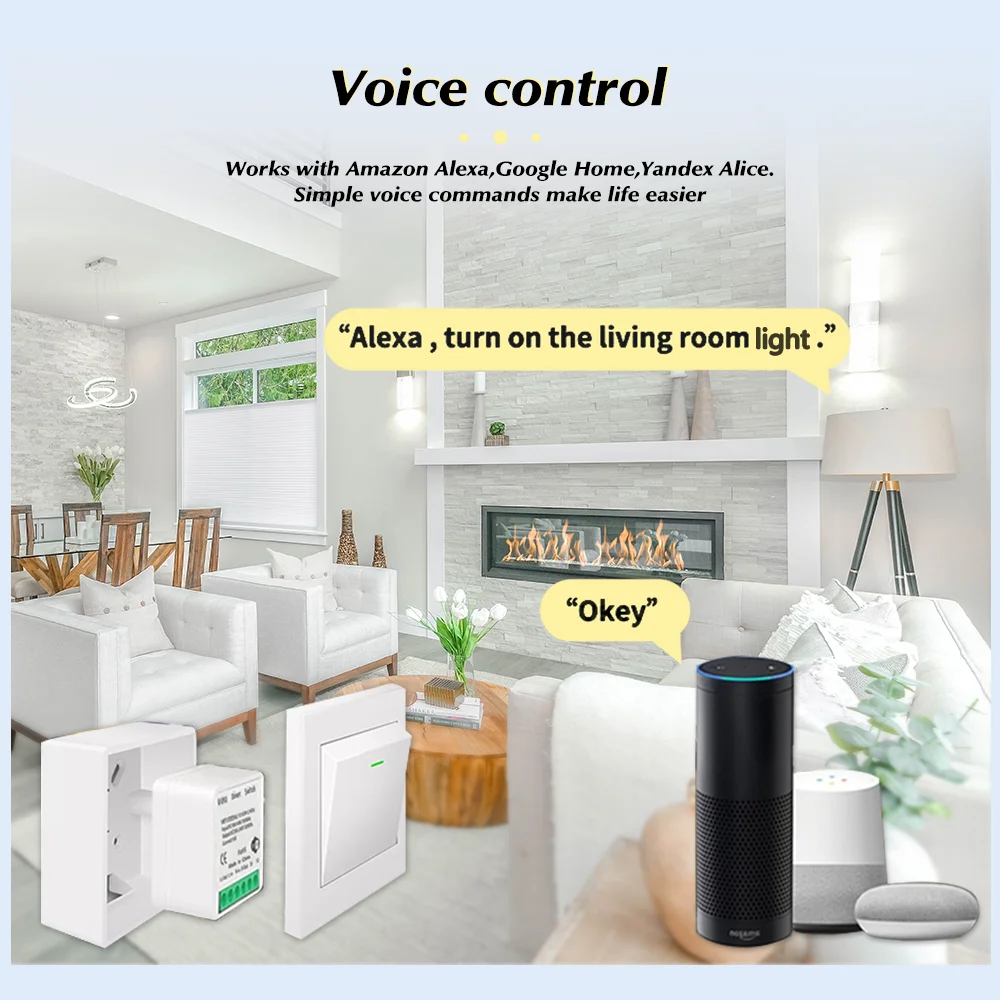 For Tuya Mini Smart WiFi Switc - огляд і ціна Smart Home Simple