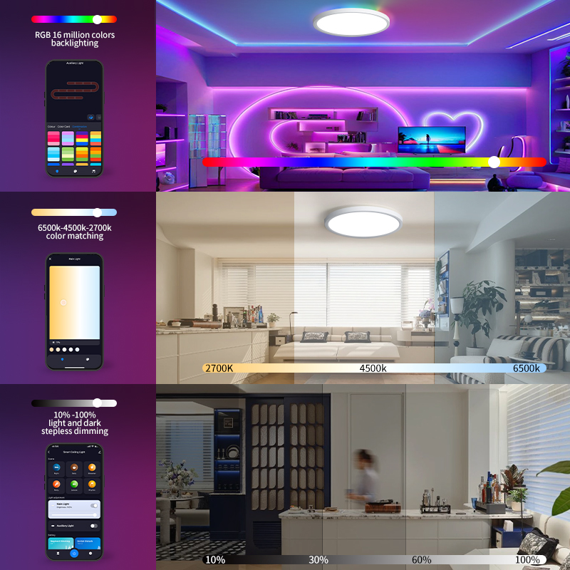 TUYA Ceiling Lamp RGB Flowing  - огляд і ціна Smart Home For Pc