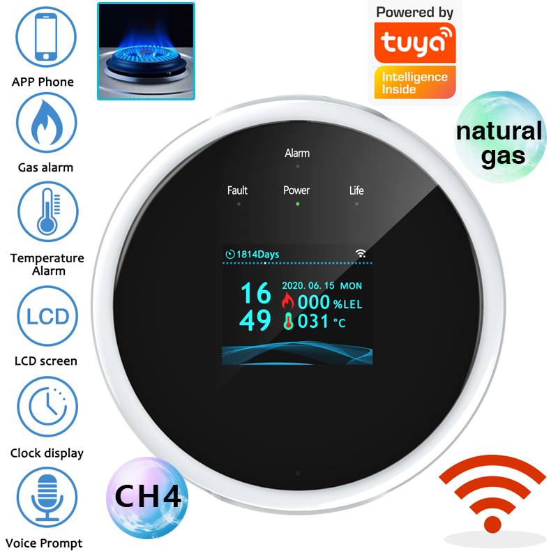 2.4G WiFi Gas Alarm Sensor Com - огляд і ціна Smart Home Full System