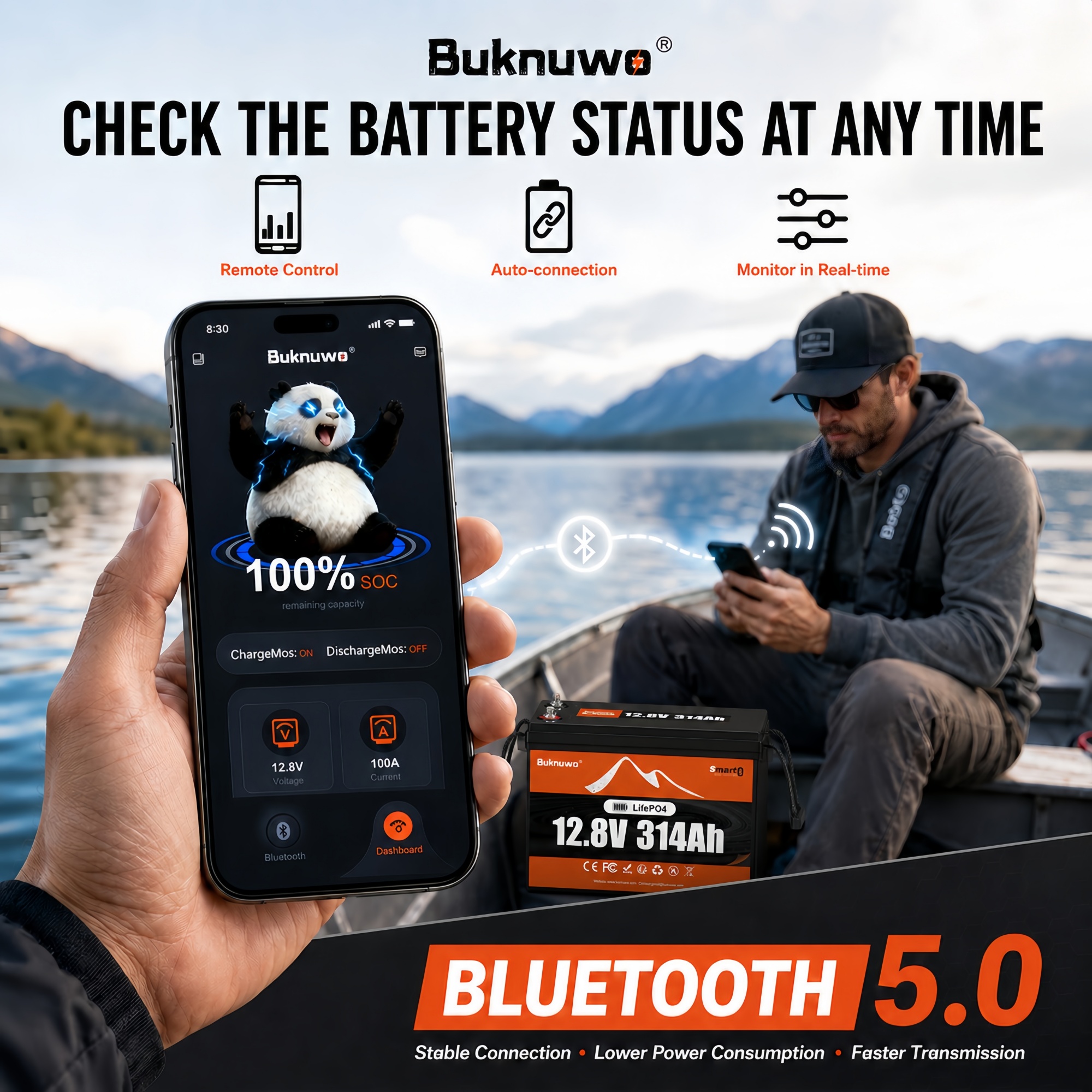 Smart 12V/12.8V 314Ah Bluetoot - огляд і ціна Smart Home Energy