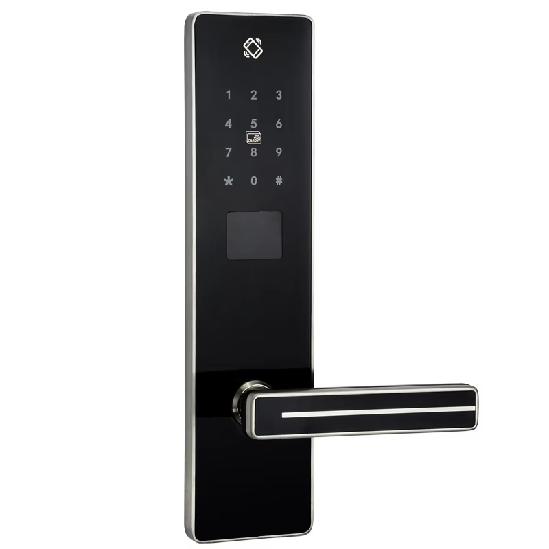 Keyless Keypad Entry Smart Doo - огляд і ціна Smart Home Door Lock