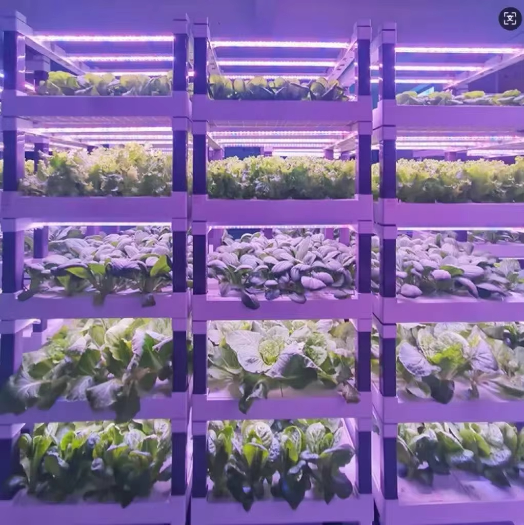 Hydroponic Grow System Greenho - огляд і ціна Smart Home Devices